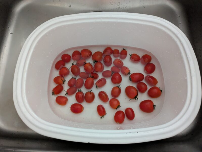 不揃いのプチトマト